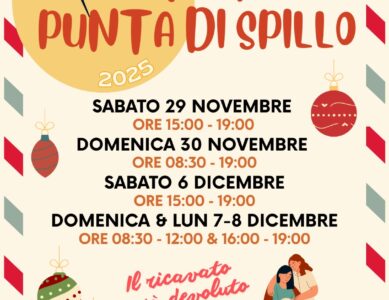 SOLIDARIETÀ  IN PUNTA DI SPILLO