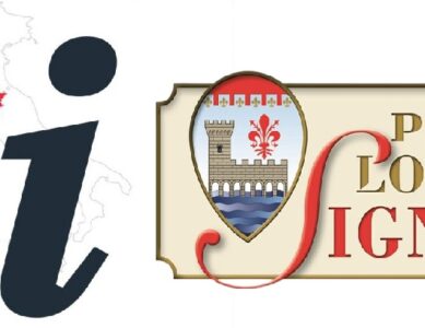 Questionario/survey IAT