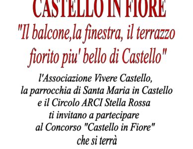 8° CONCORSO – CASTELLO IN FIORE “Il balcone, la finestra, il terrazzo, fiorito più bello di Castello”